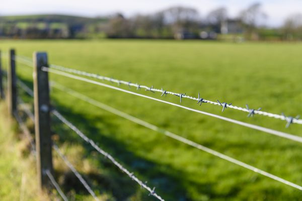 Game Fence Installation