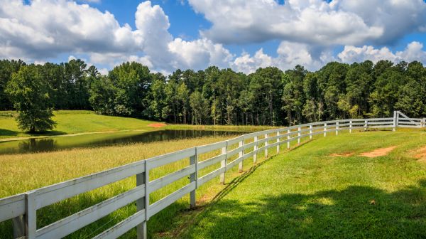 Rail Fence Assembly